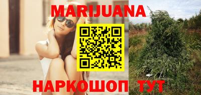 сатива Малоярославец