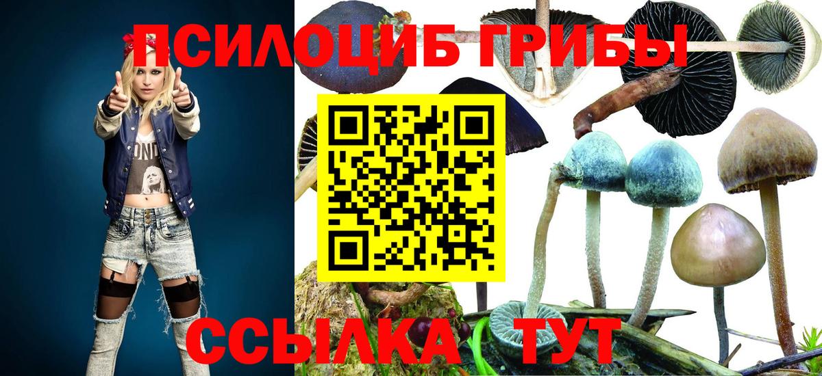 Галлюциногенные грибы Psilocybine cubensis Чехов