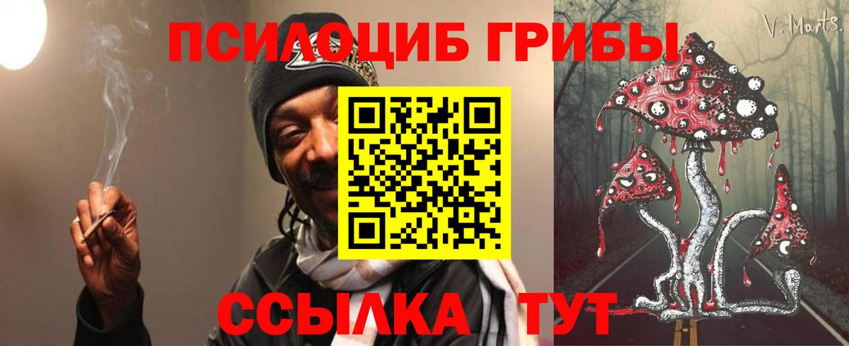 Чехов  Псилоцибиновые грибы мухоморы  Вход с VPN  Галлюциногенные грибы Cubensis 
